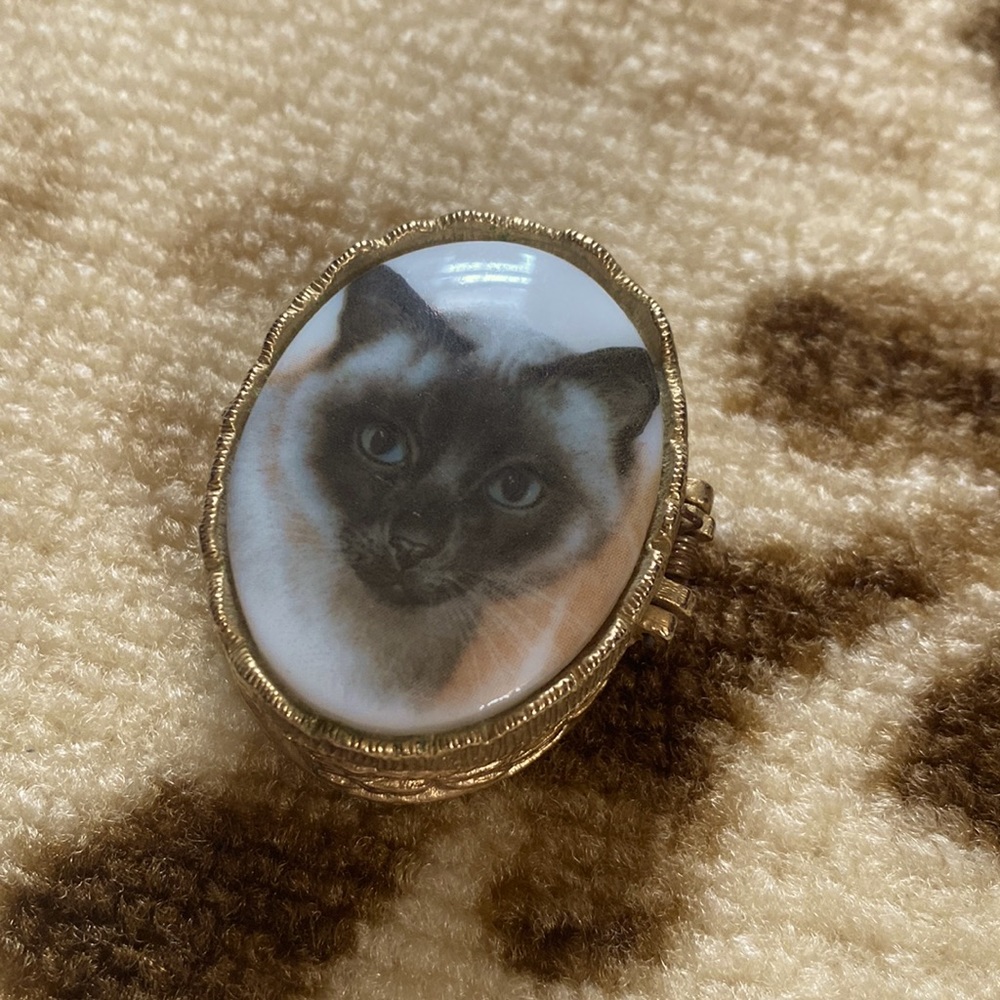 Vintage Cat Pill Box